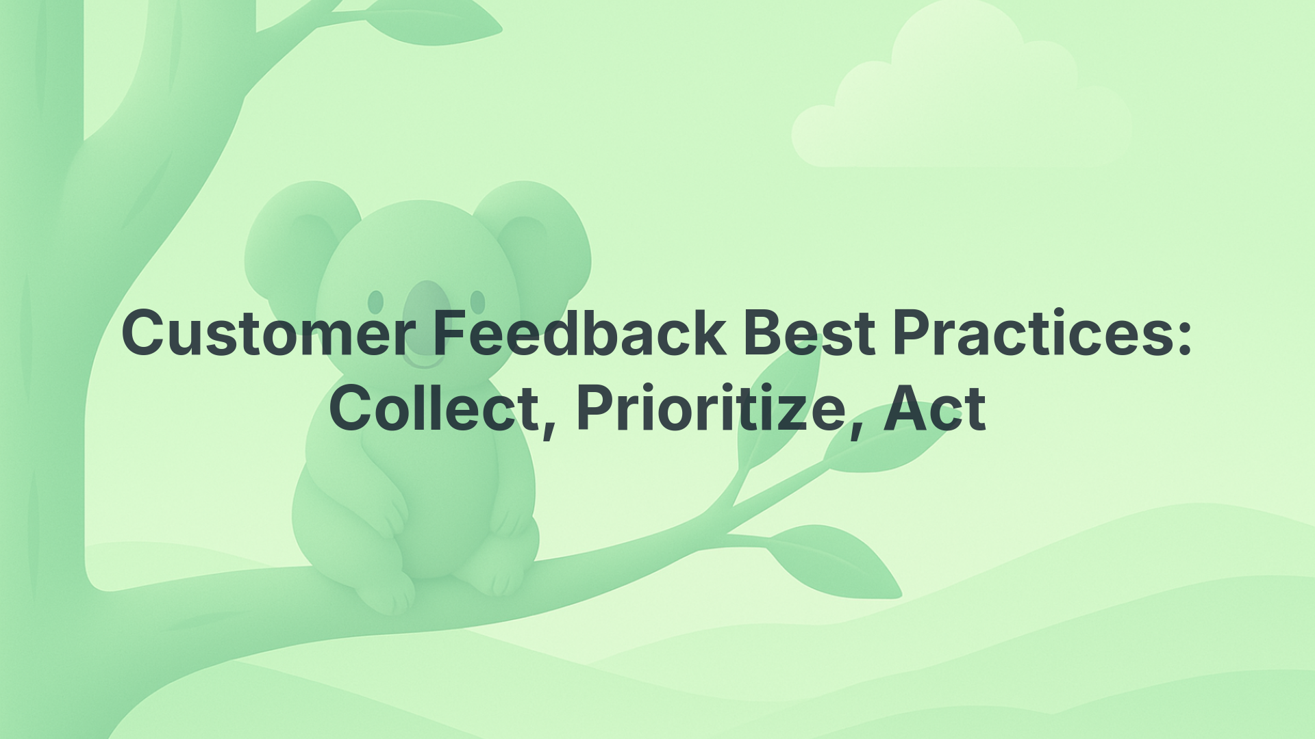 Customer Feedback Best Practices: Collect, Prioritize, Act